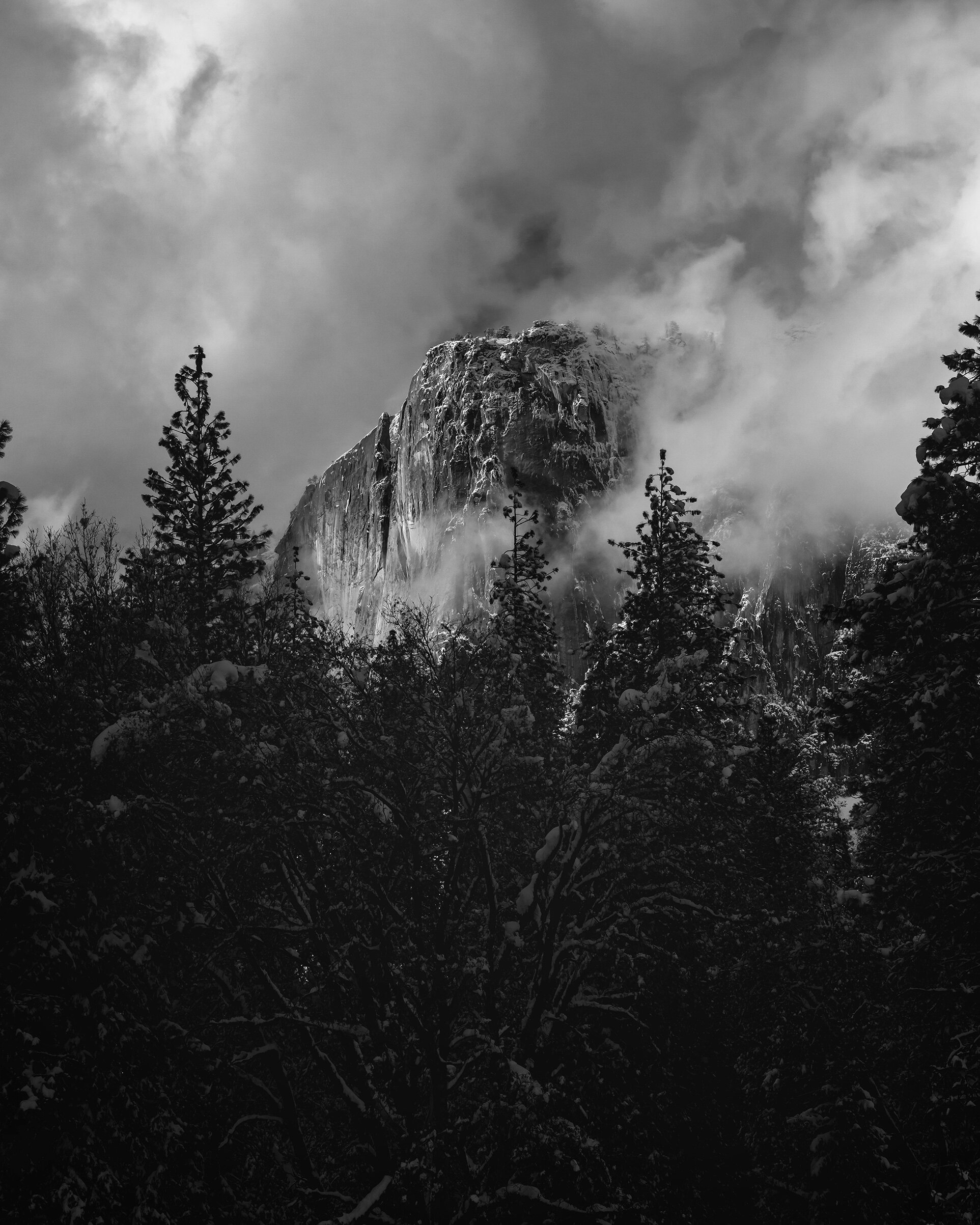 Yosemite Mood