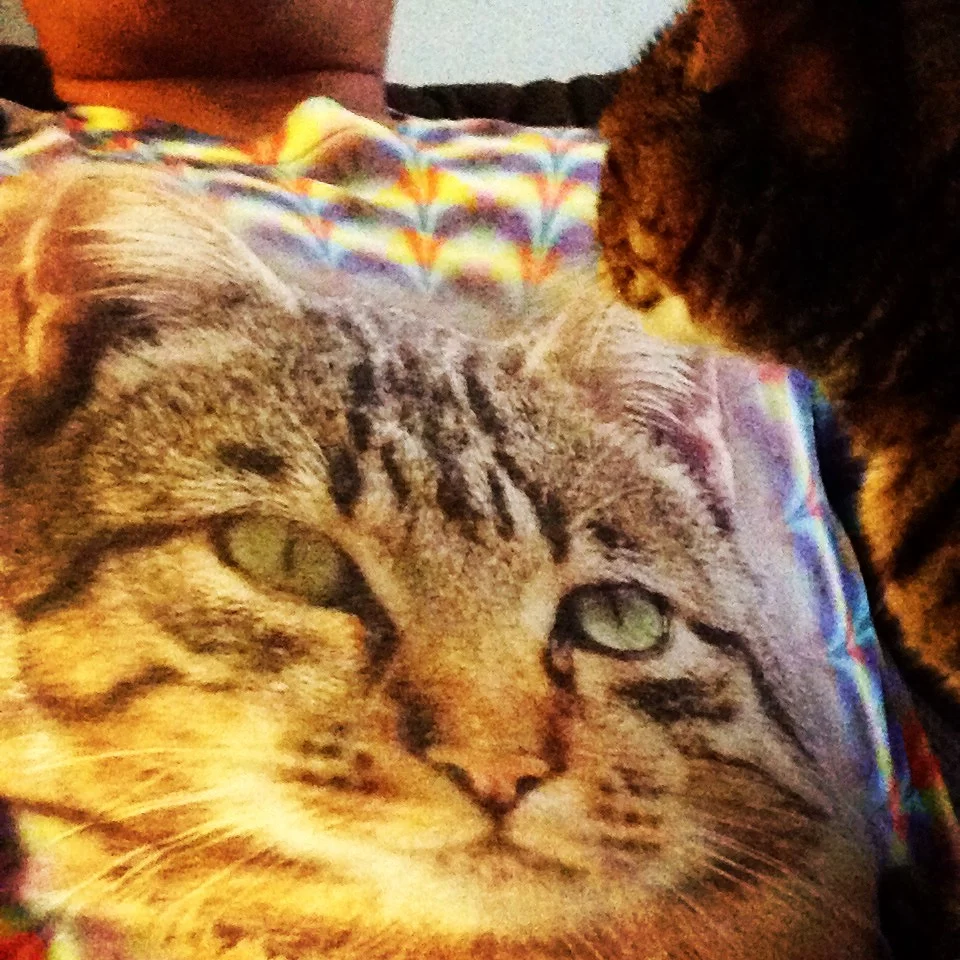 Love a cat