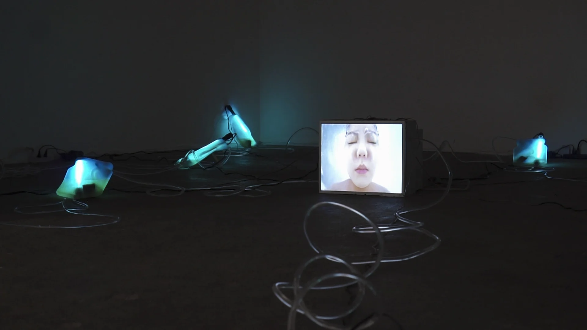 bacterium image 70.jpg