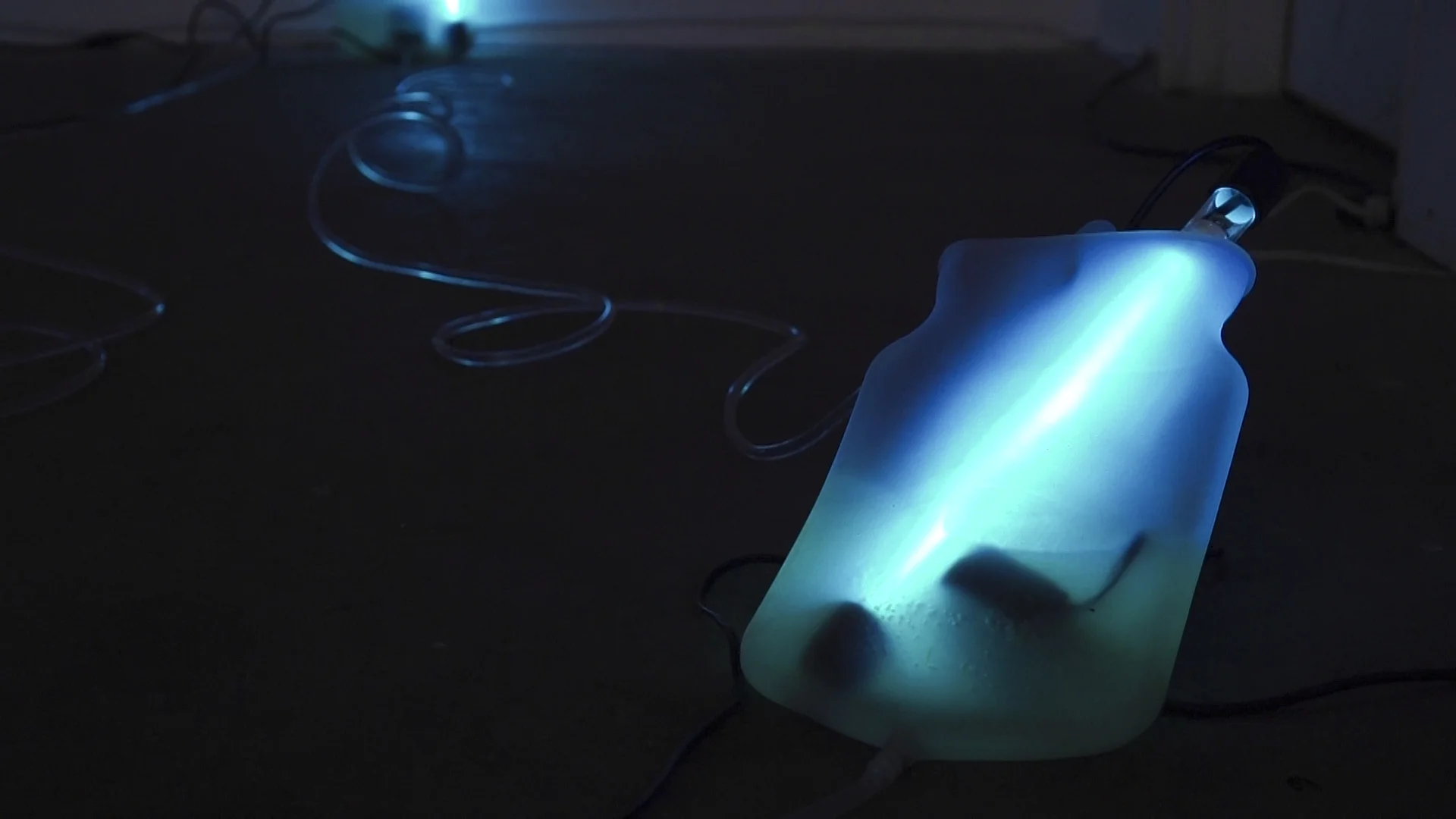 bacterium image21.jpg