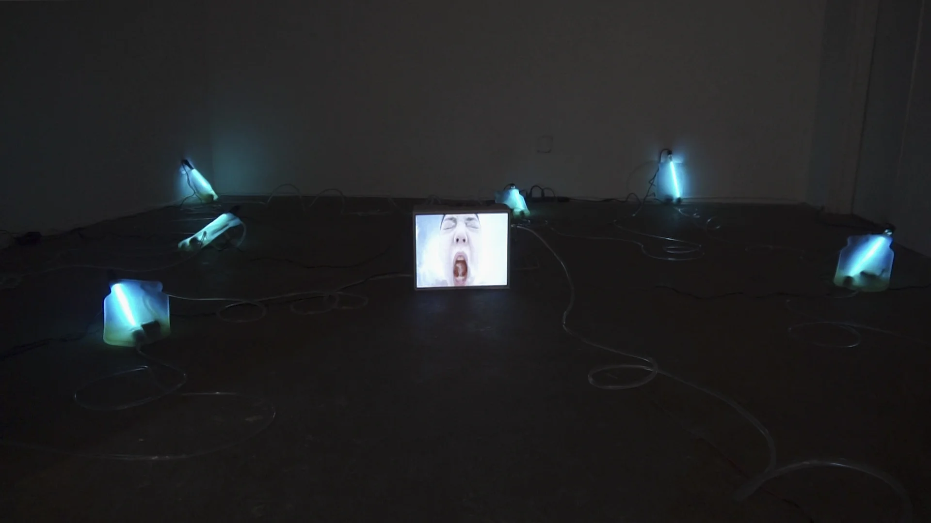 bacterium image40.jpg