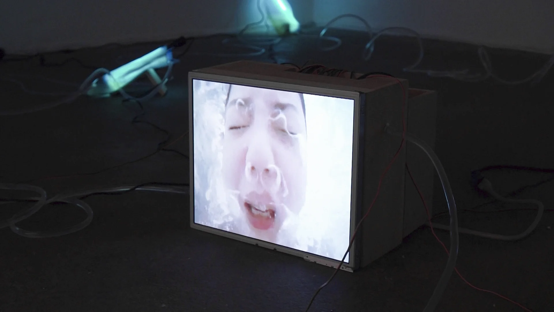 bacterium image30.jpg