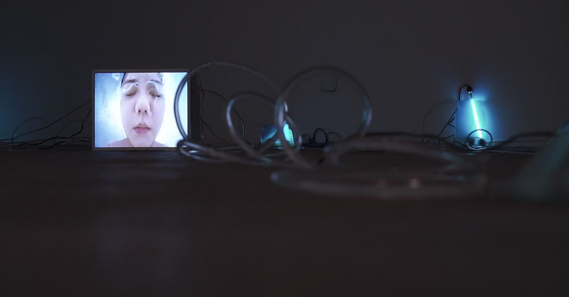 bacterium image90.jpg