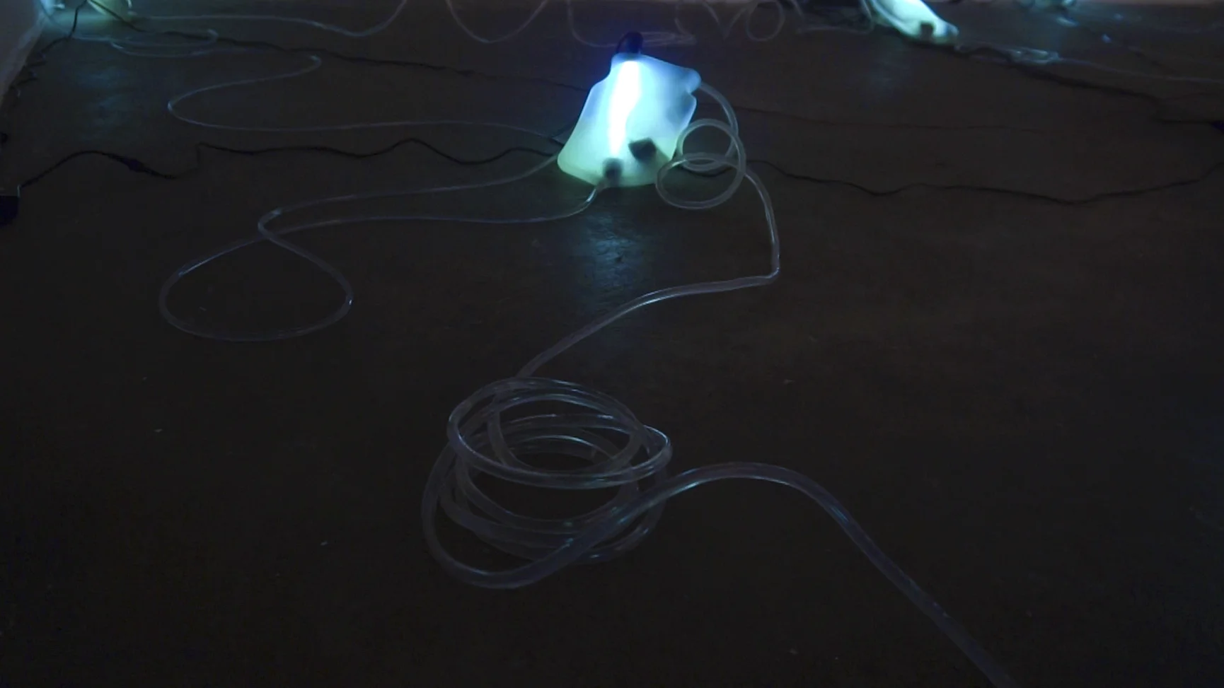 baterium image51.jpg