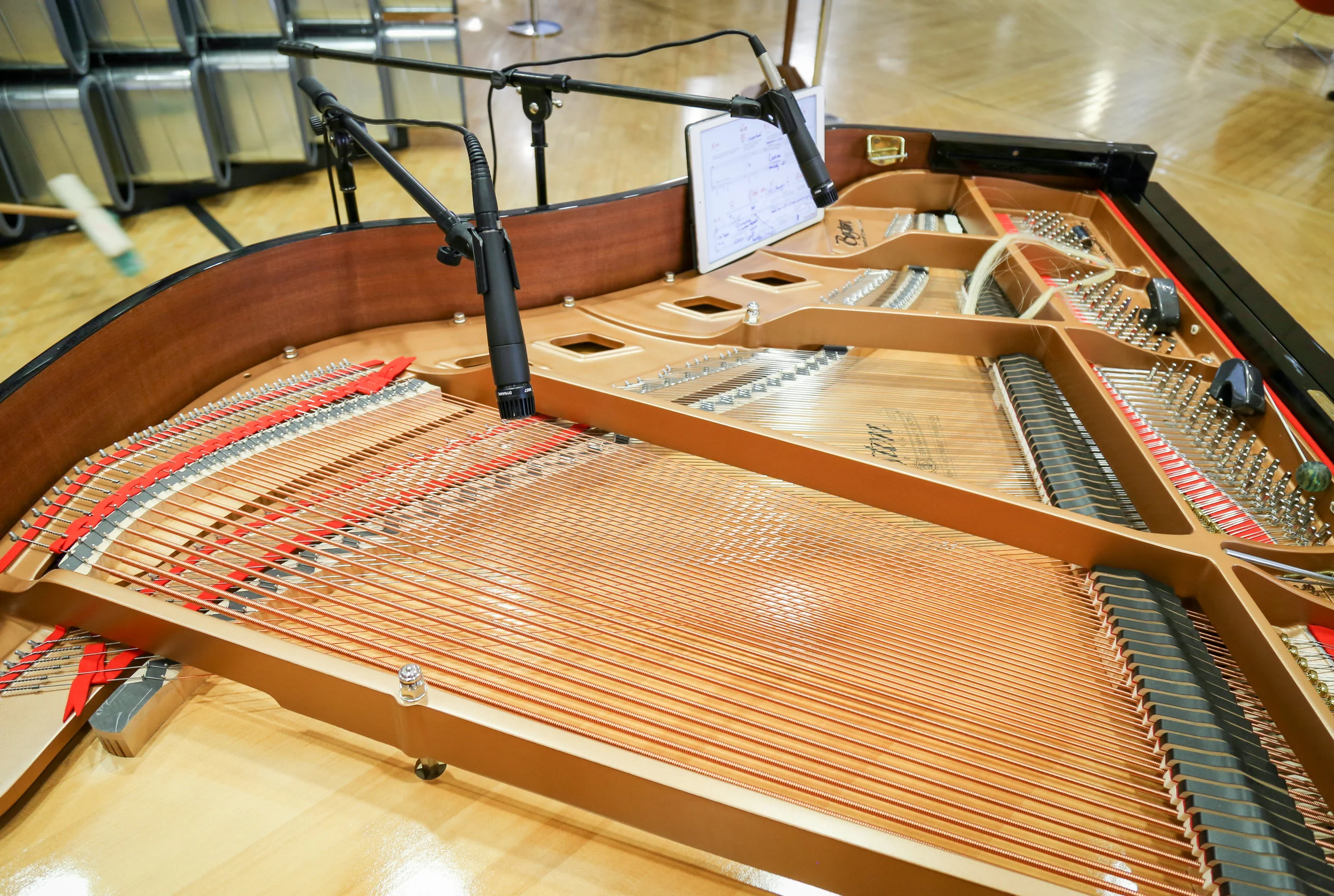 EchoChamber_Performance (2 of 49).jpg