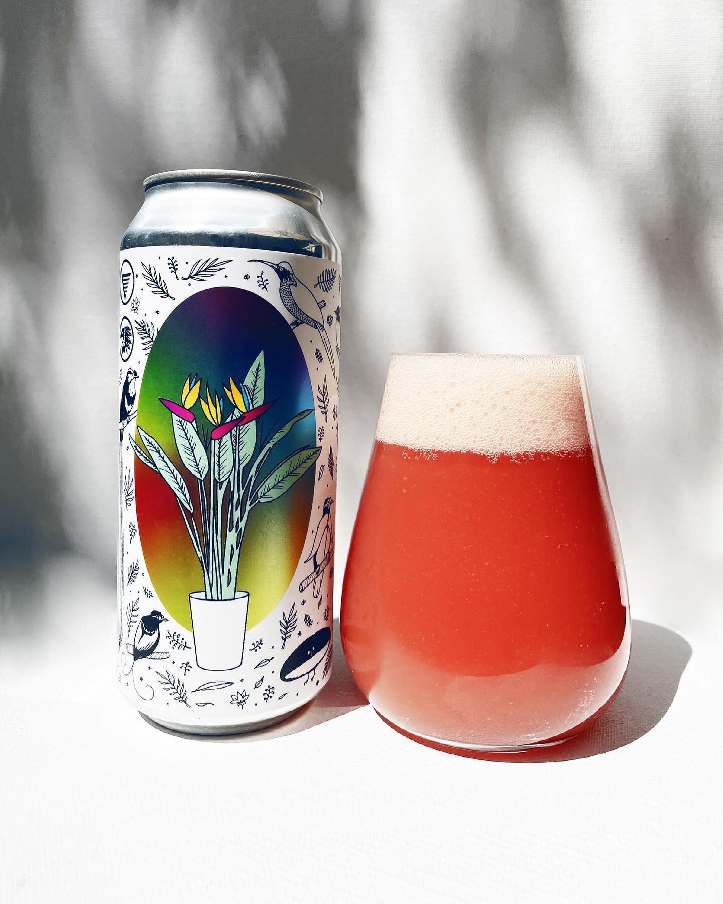 CAN PRESALE MONDAY (6/21) - MEMBERS 12PM (emailed link) / PUBLIC 5PM at homesbrewery.com
➖
🪴🌺🦜 BIRDS OF PARADISE (7.1%) FRUITED SOUR - a collab with @horusagedales, kettle sour blended with passionfruit, pineapple, dragonfruit, mango &amp; guava, 