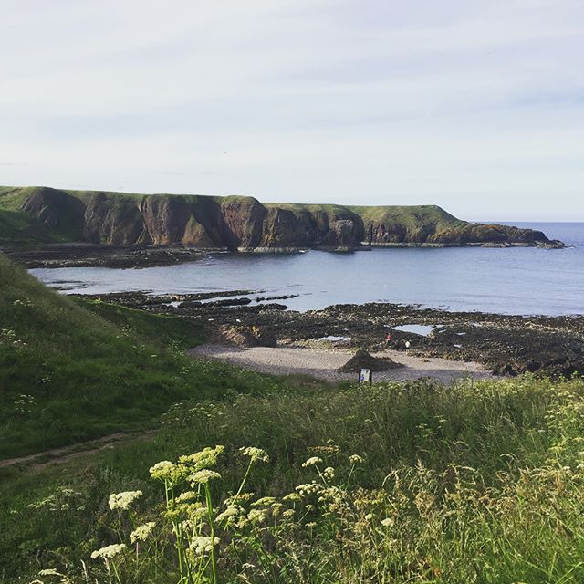 Tragically, Scotland turned out to be hideous, and full of Scotch.