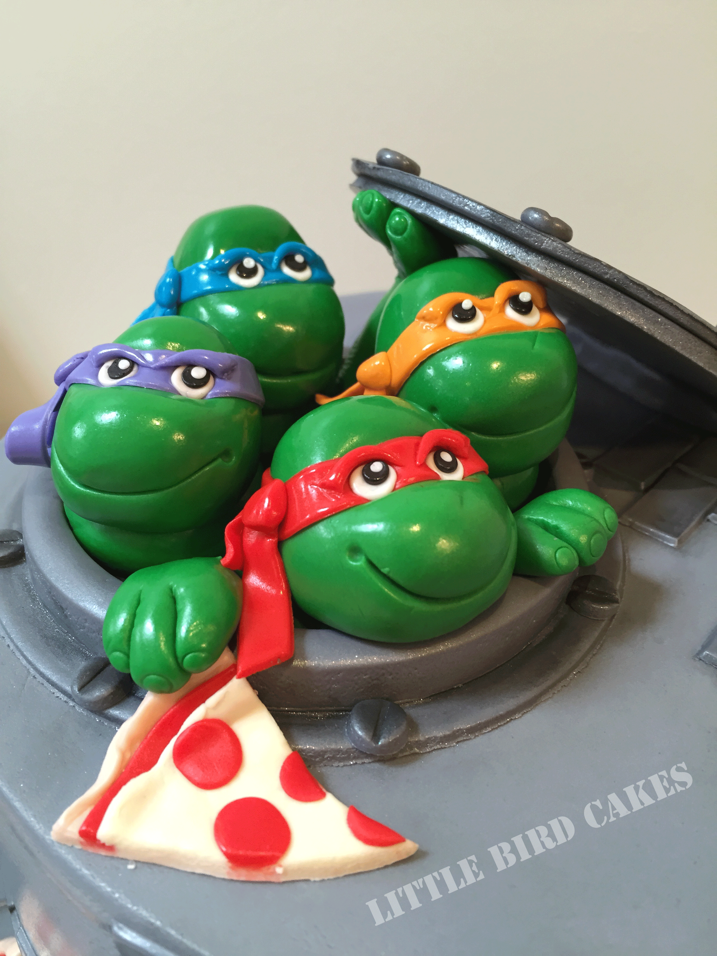 TurtlesClose.gif