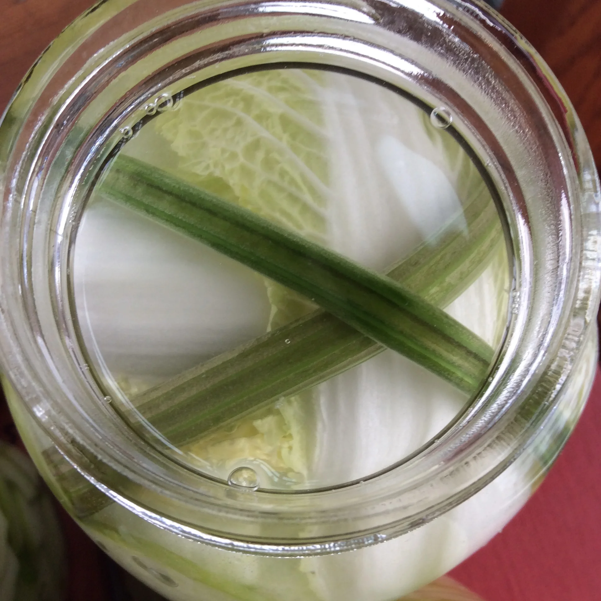 Lacto Fermented Apples3.JPG