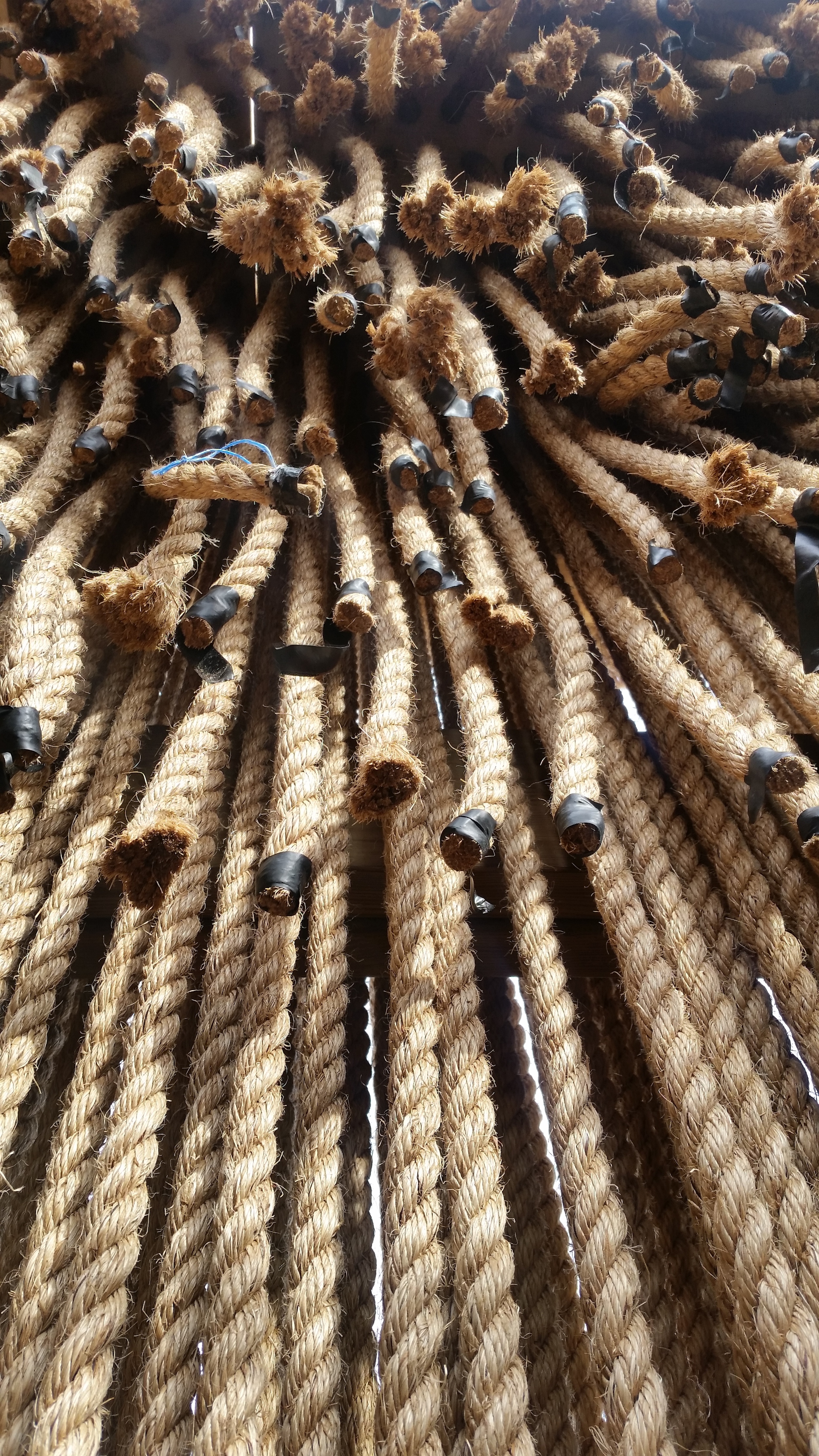 Look up. Inside Floating Ropes | MUDO (Elodie Doukhan and Nicolas Mussche). Montreal, Canada