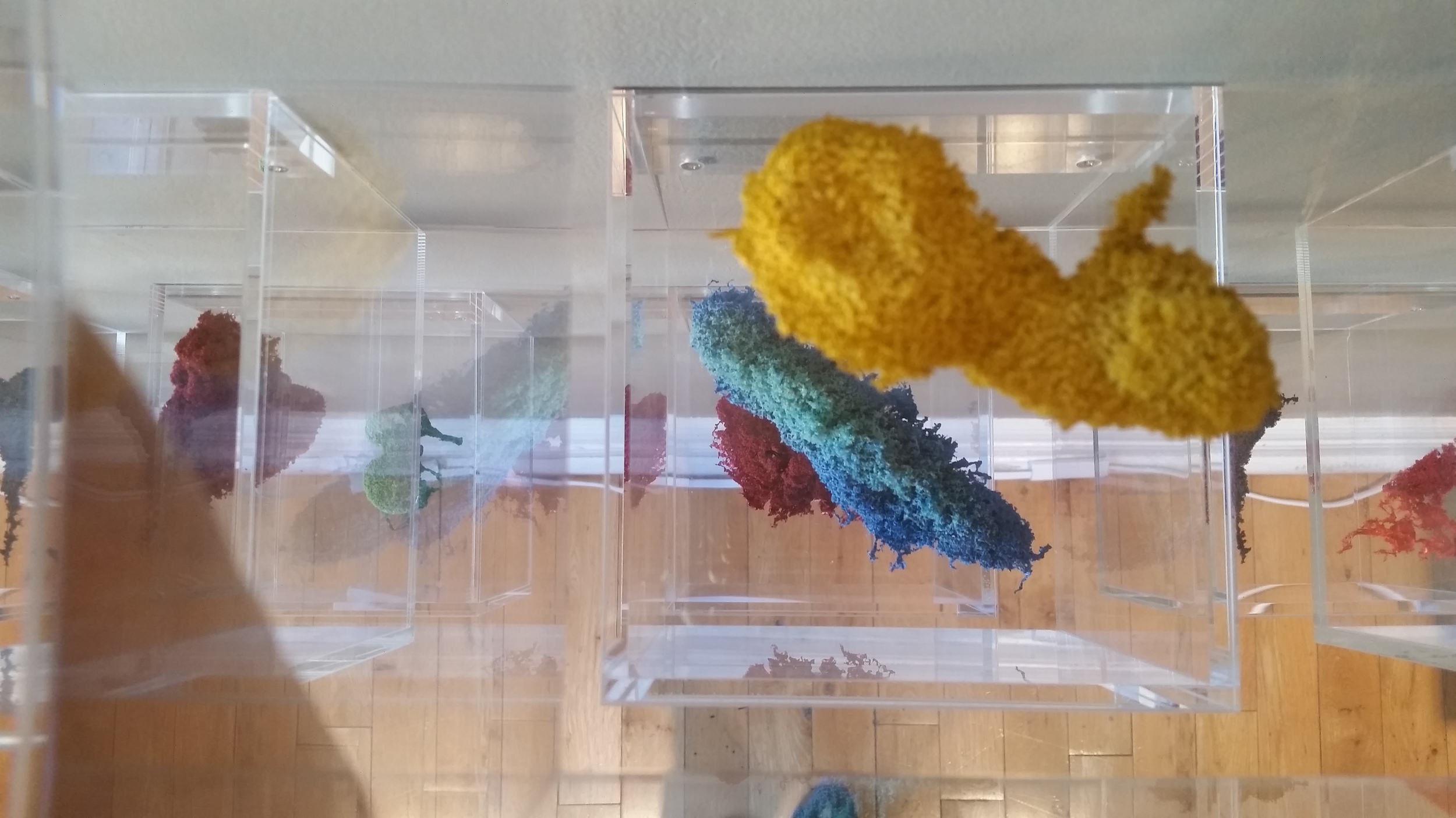 Petroleum Distillates by Kelly Morgan of The Dopamine Collective
