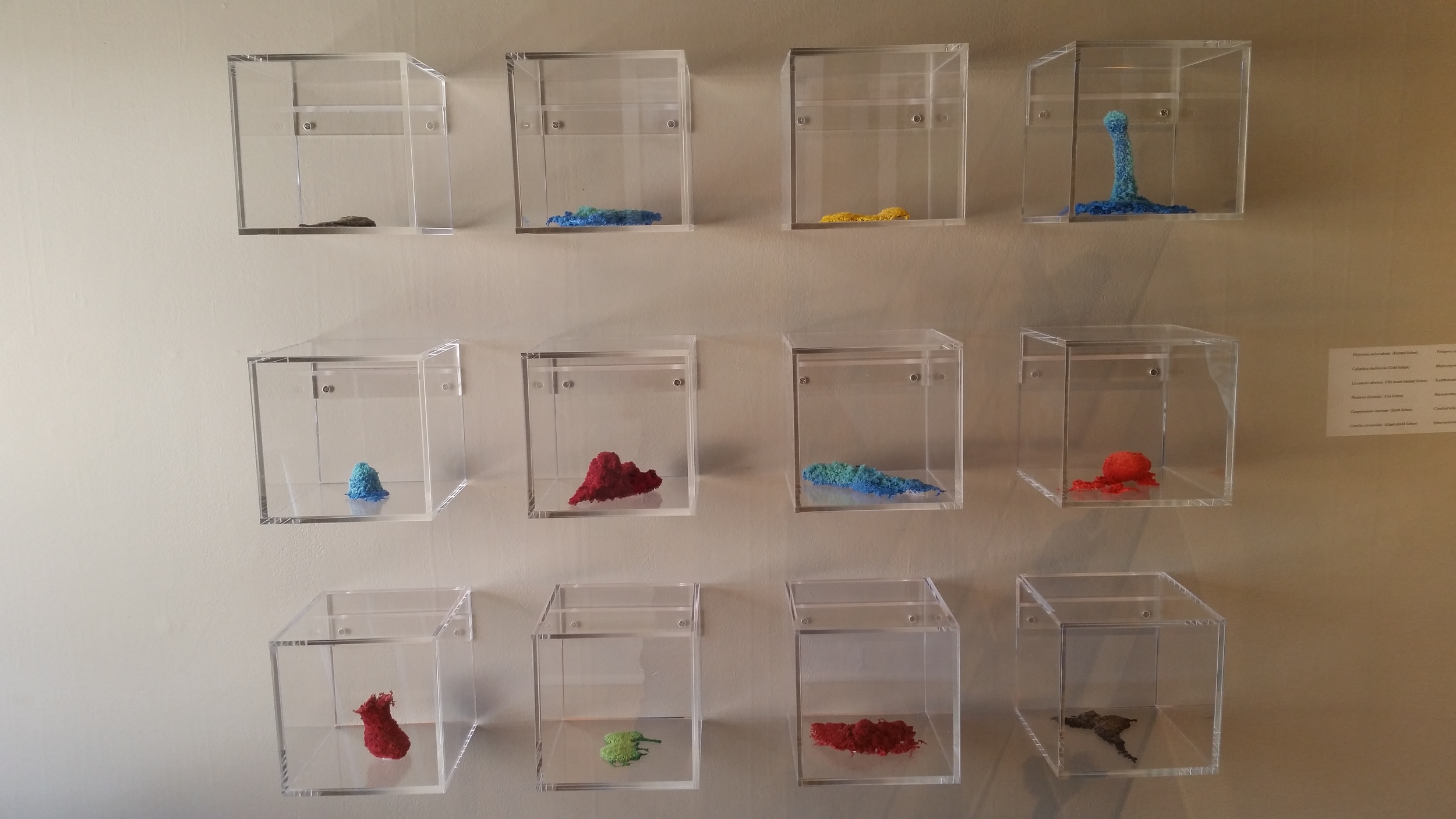 Petroleum Distillates by Kelly Morgan of The Dopamine Collective