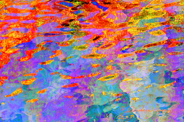 Autumn’s Palette This work was selected for Art that Moves You, a publicly funded Button Factory Arts’ project, promoting the arts through displays of art and writing on Grand River Transit buses from April 2016 through March 2017. 