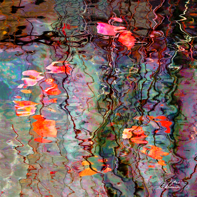 Don’s “Pond” This work was accepted for exhibit in the 122nd Toronto International Salon of Photography. November 2015.