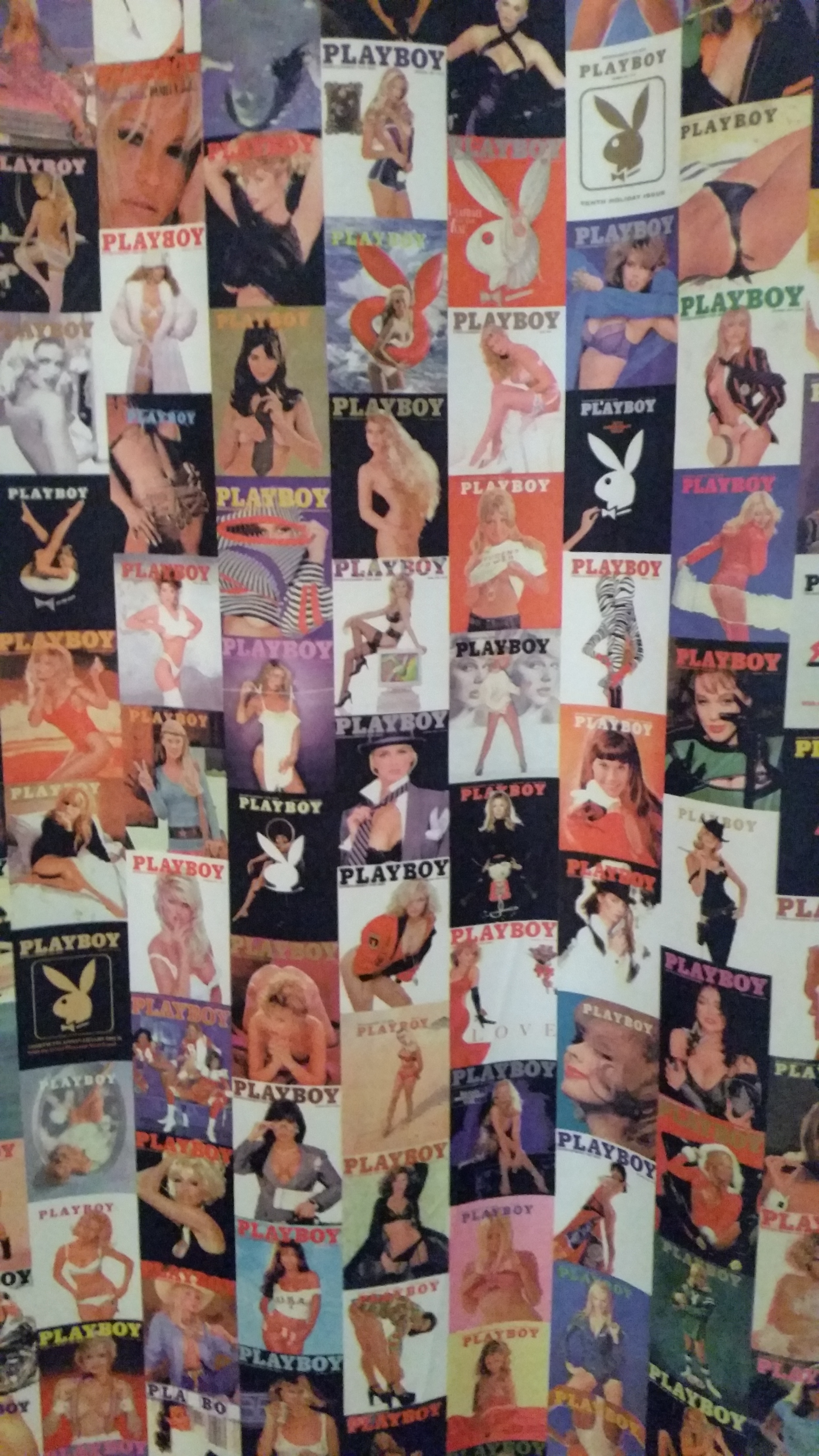 Playboy shower curtain in the downstairs bathroom.