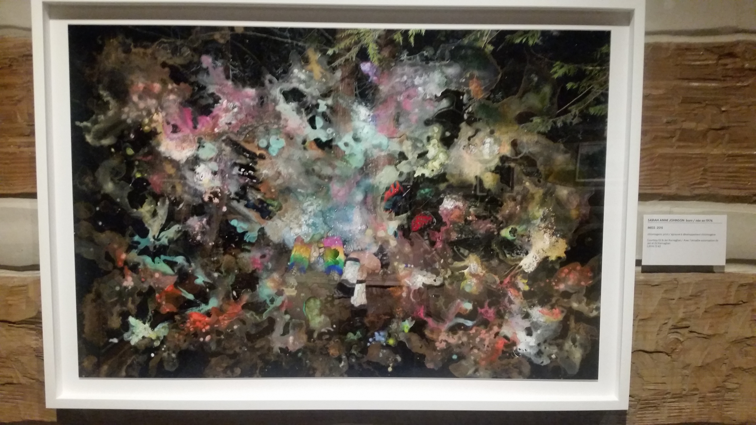 Mess by Sarah Anne Johnson. Chromogenic print.