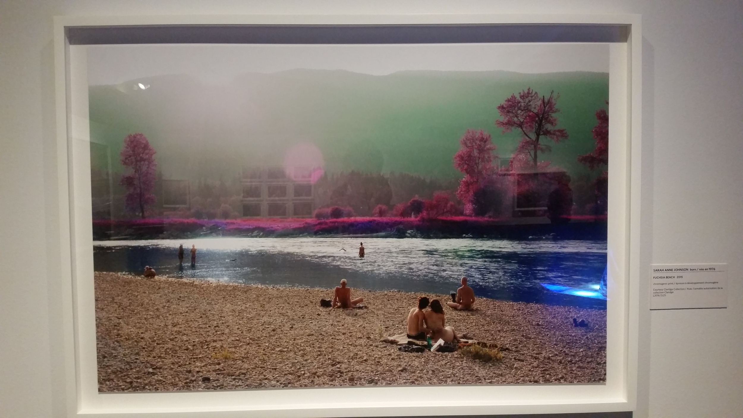 Fuchsia Beach by Sarah Anne Johnson. Chromogenic print.