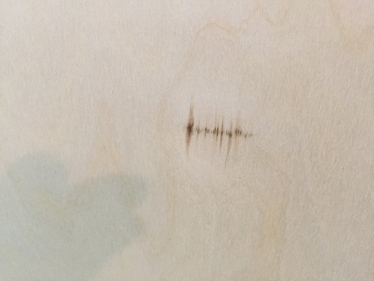 Birch waveform detail
