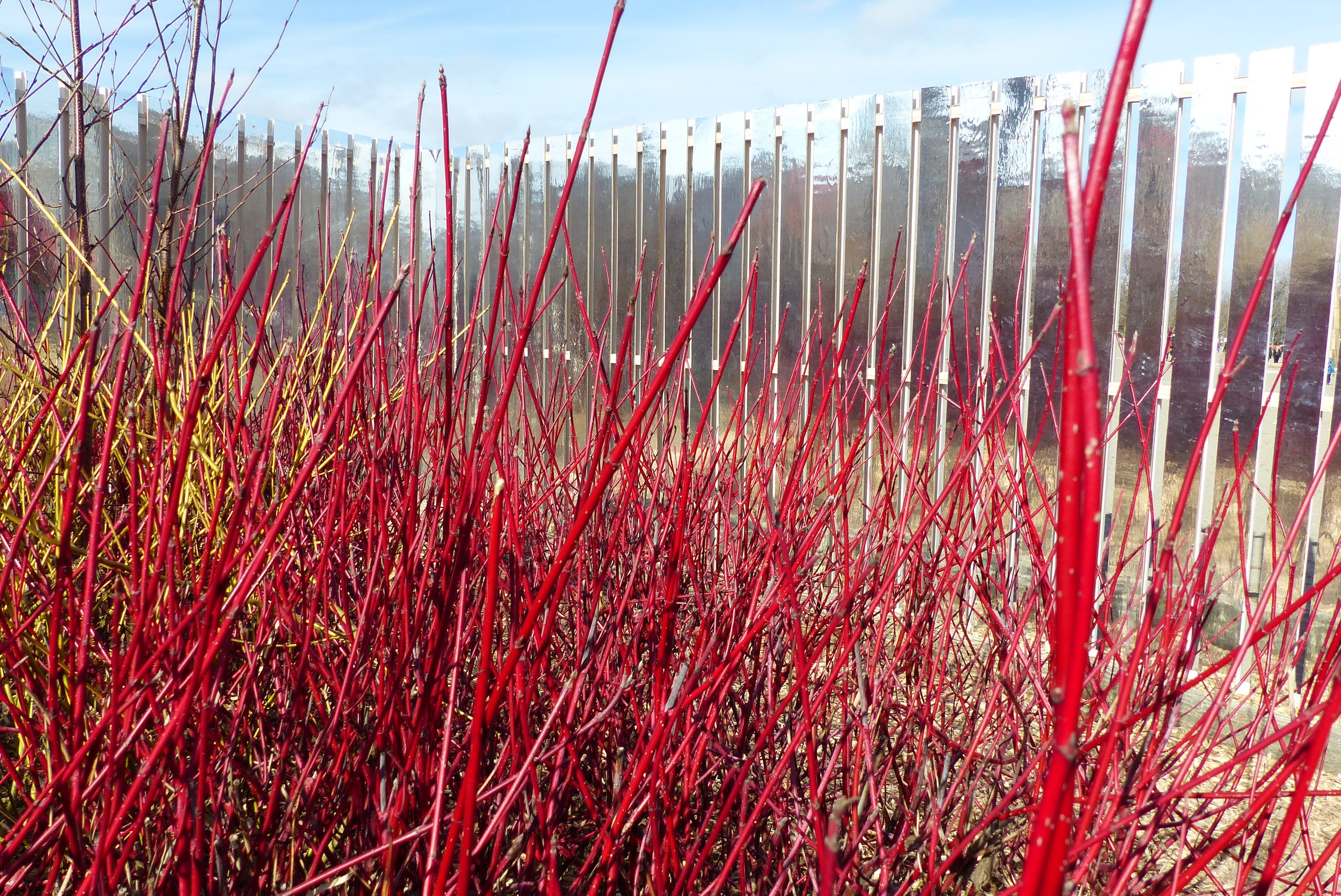 Inside Midwinter Fire. Daniels Faculty of Architecture, Landscape, and Design, University of Toronto