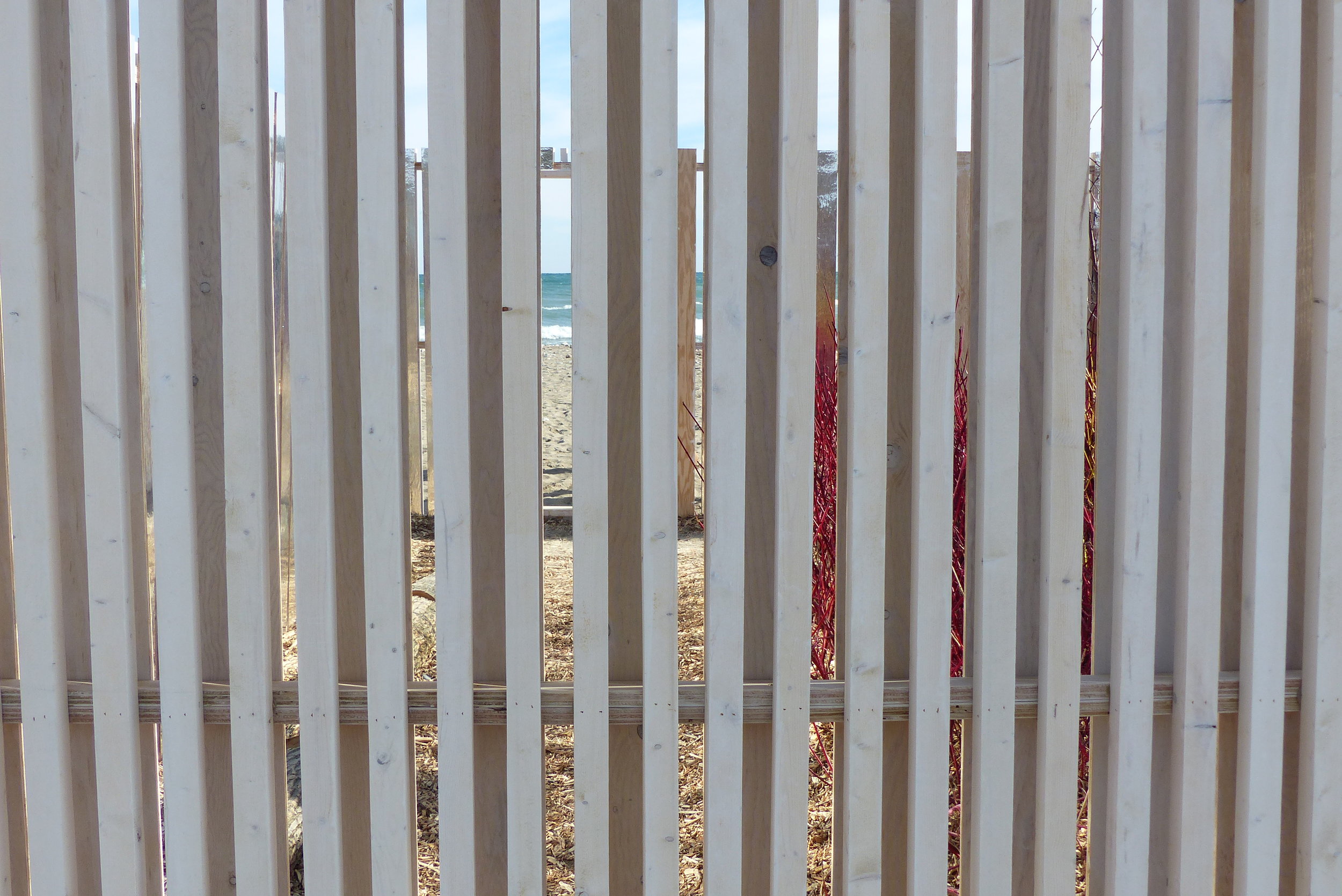 Outside Midwinter Fire. Daniels Faculty of Architecture, Landscape, and Design, University of Toronto