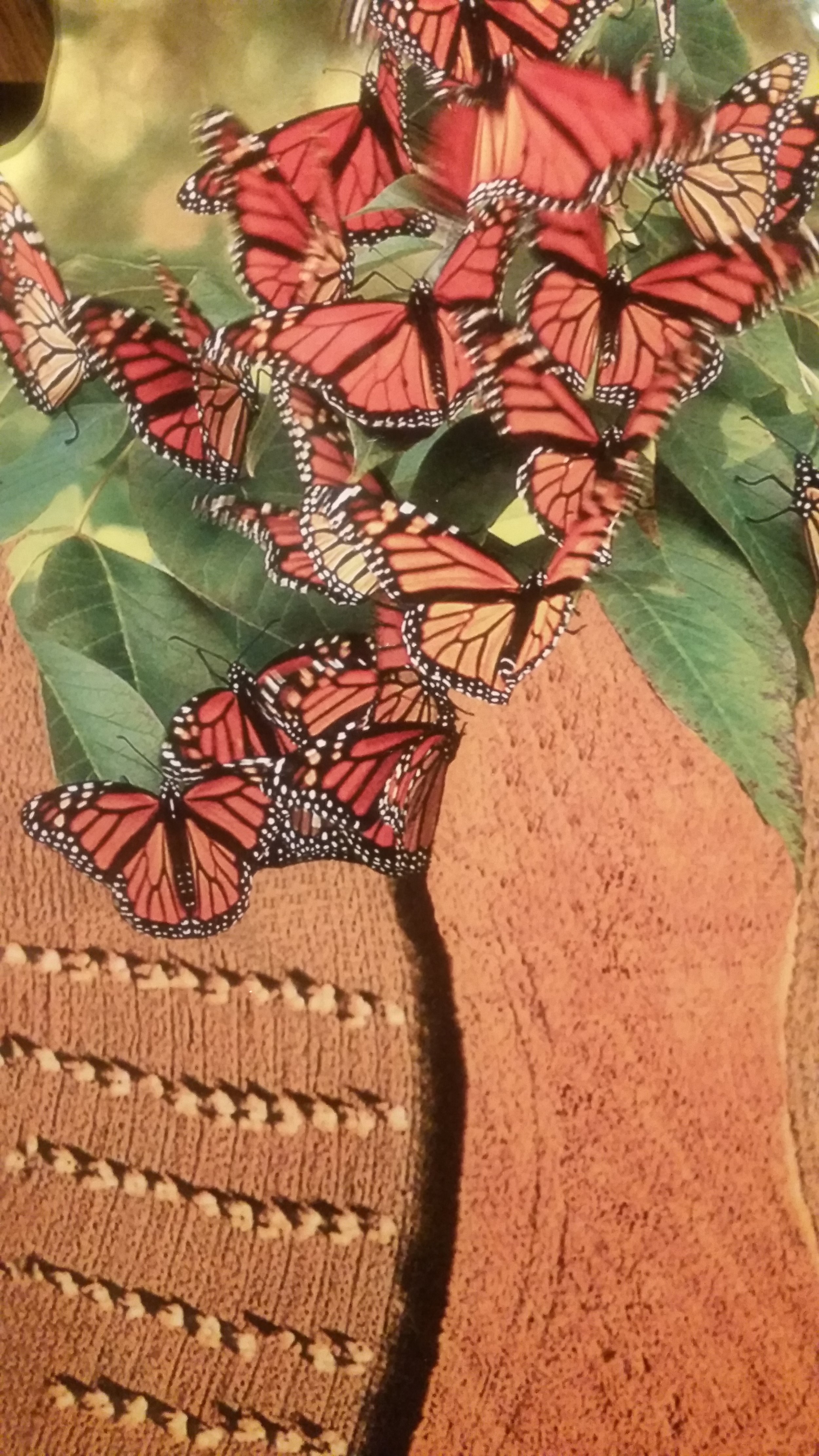 Up close with "Transformation Tree".