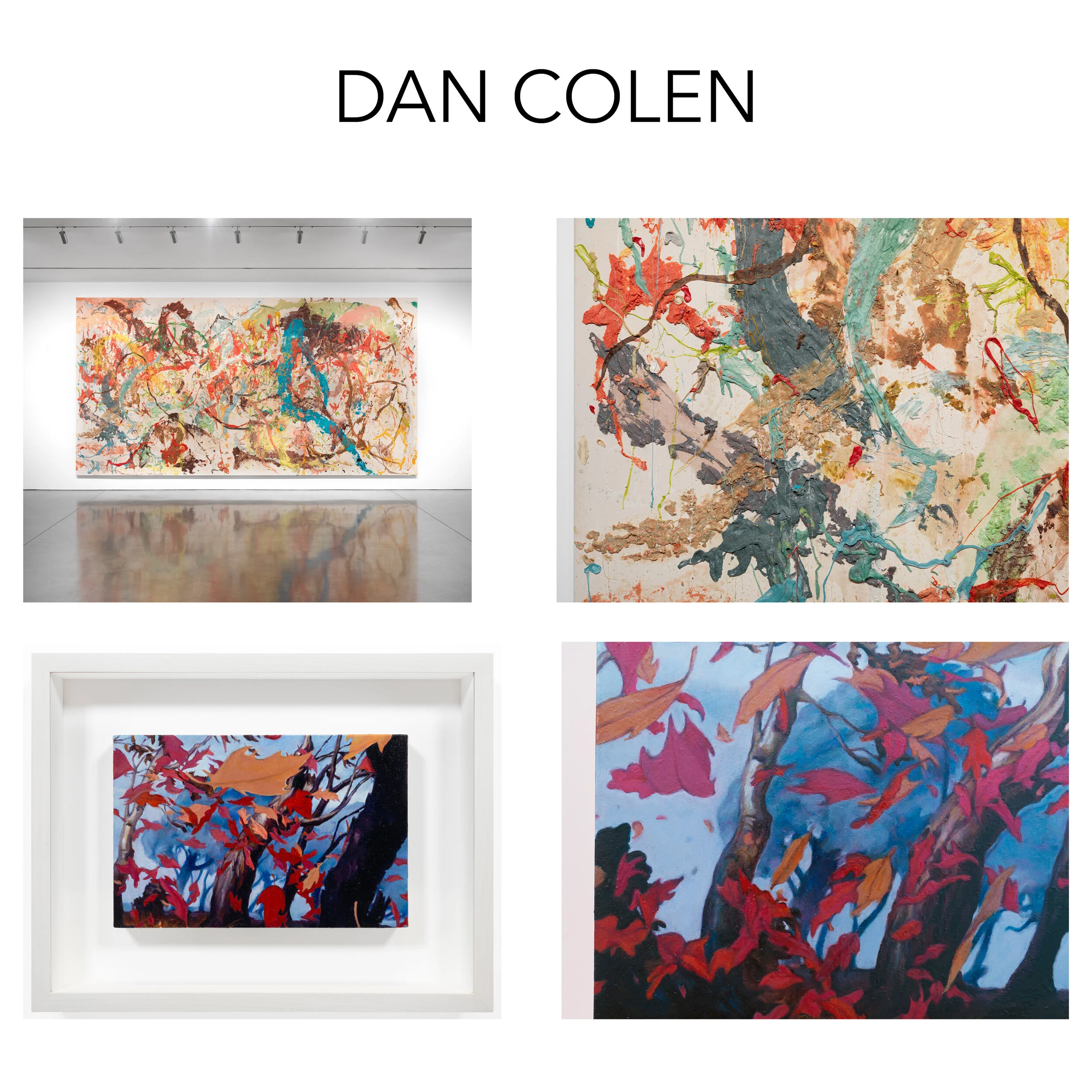 DanColenDetails.jpg