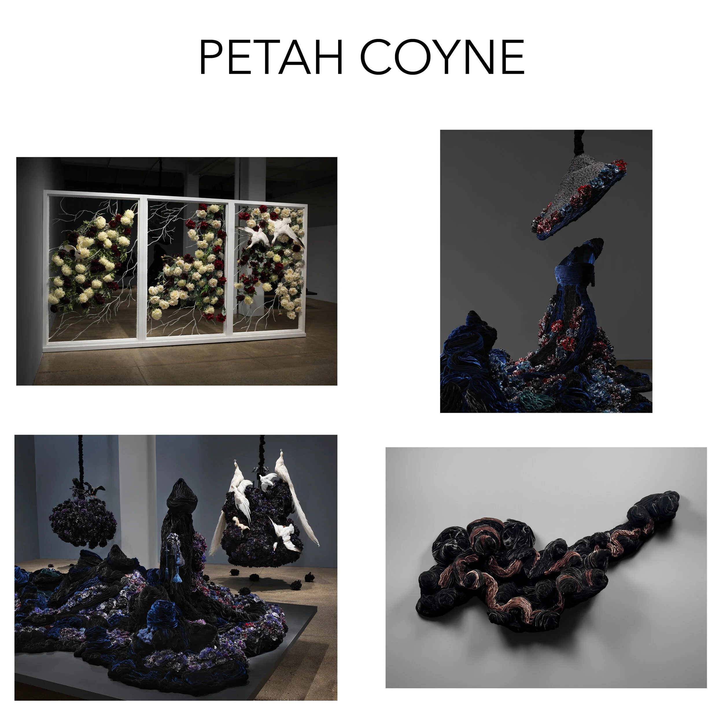 PetahCoyne.jpg