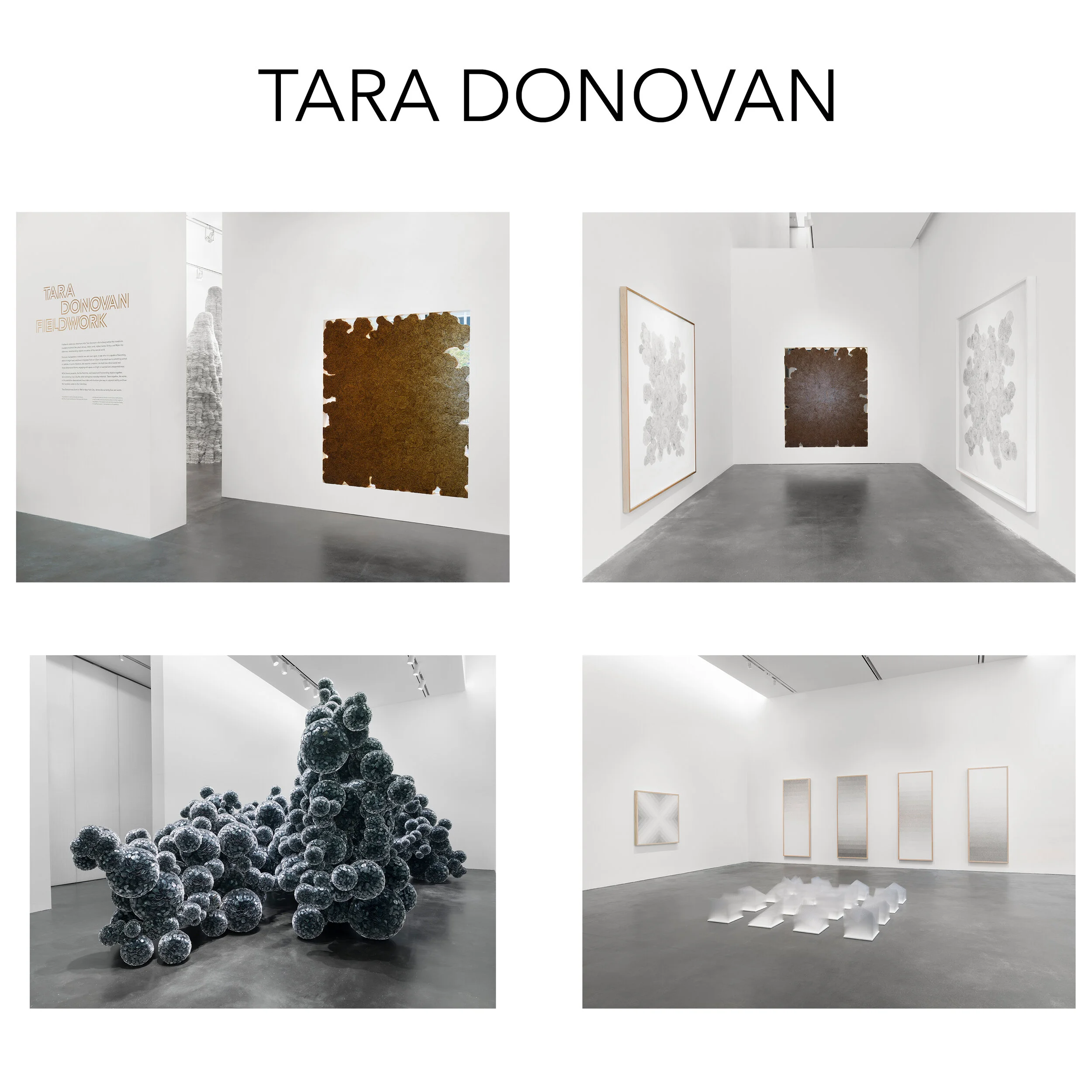 TaraDonovan.jpg