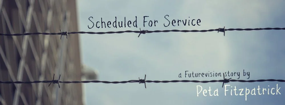 SCHEDULED FOR SERVICE by Peta Fitzpatrick