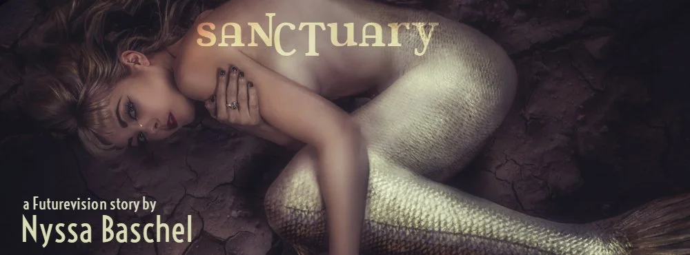 SANCTUARY by Nyssa Baschel