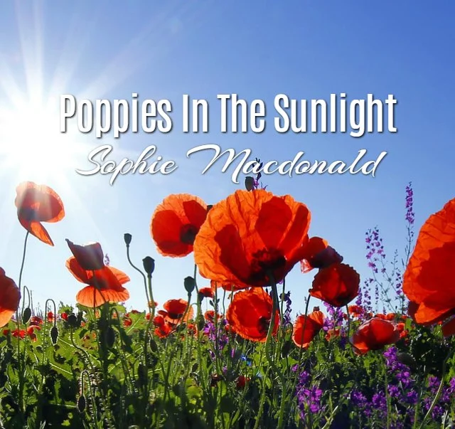 'Poppies In The Sunlight' by Sophie L Macdonald