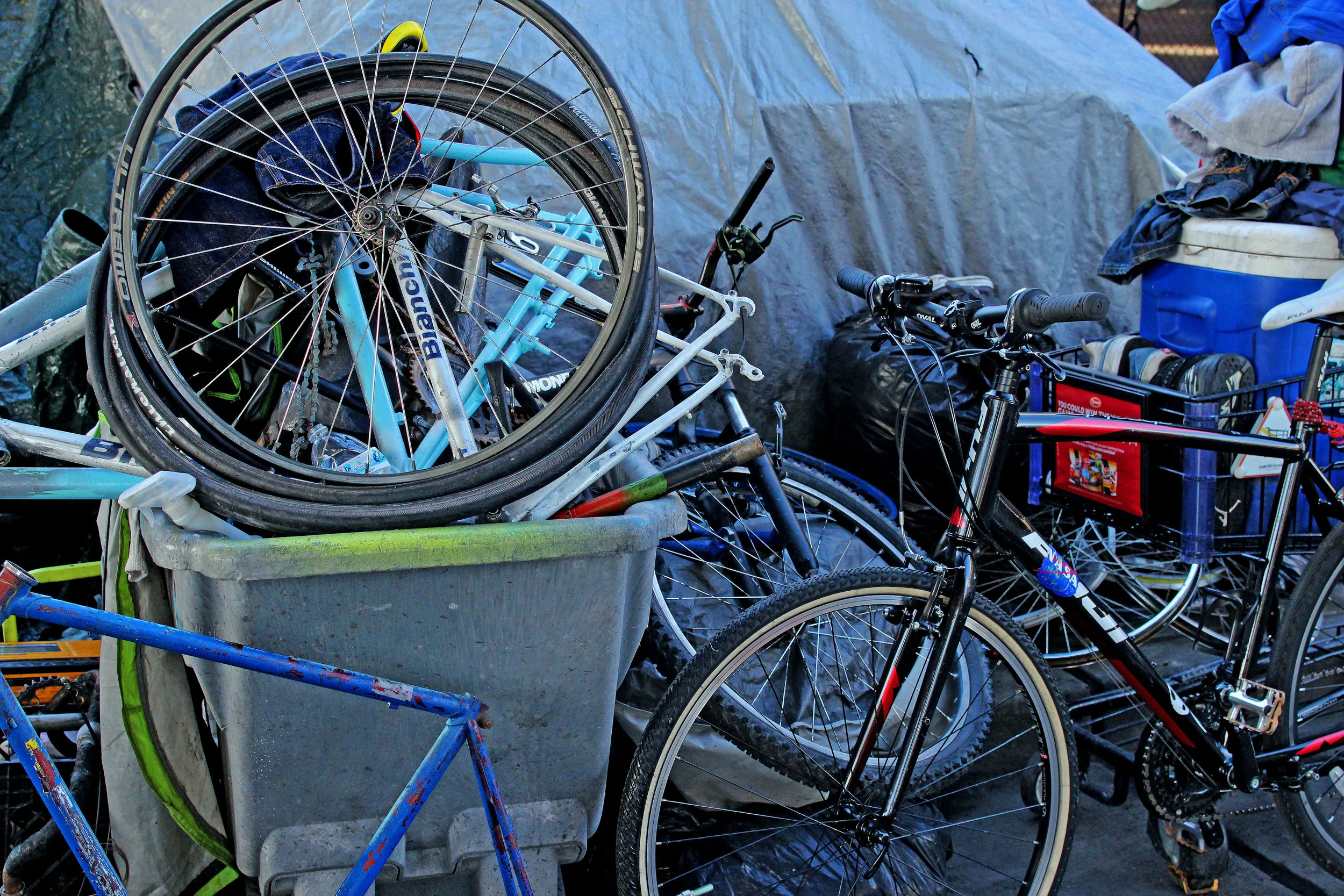 Collected bikes parts.