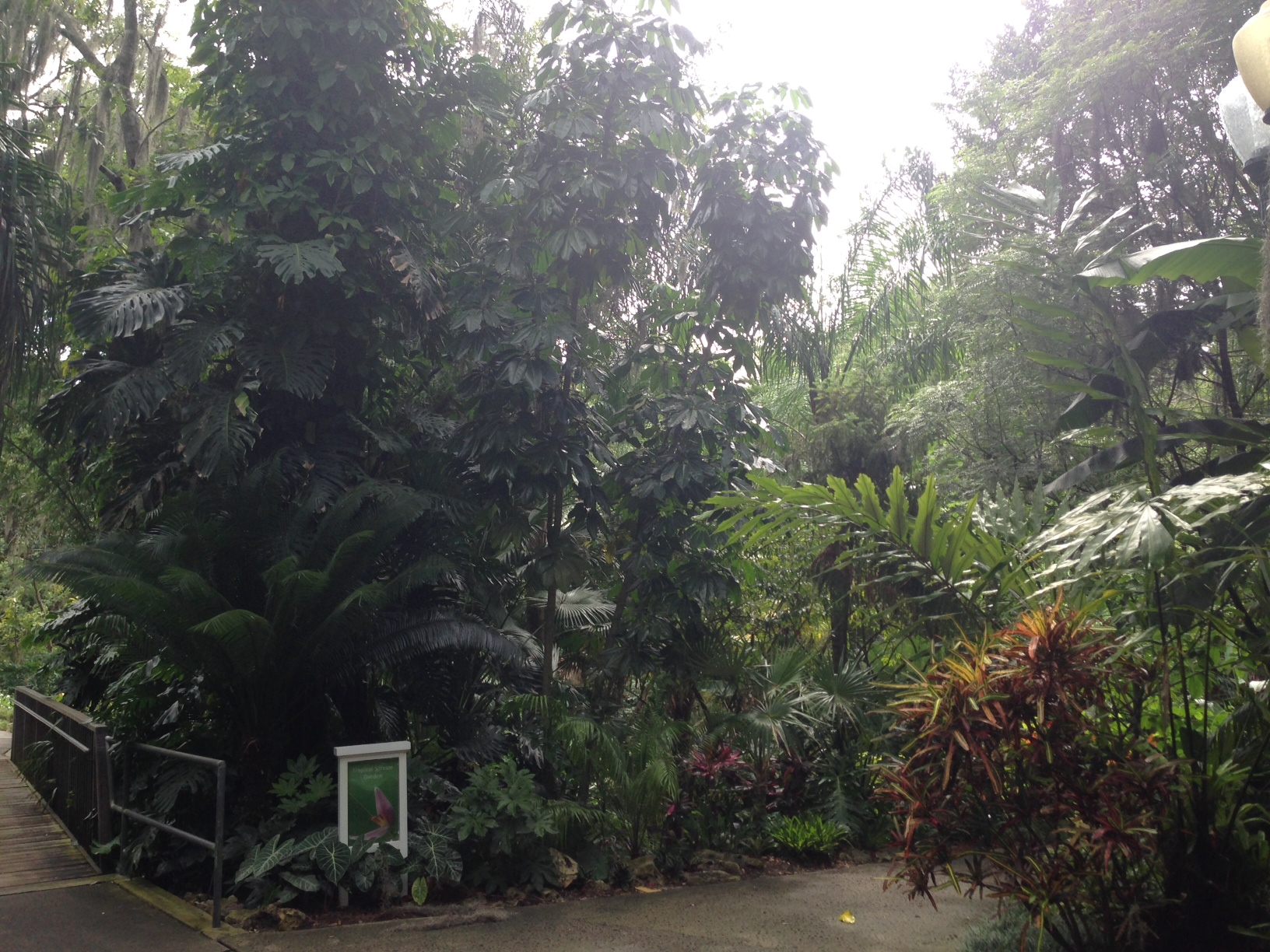 Tropical-Stream-Garden.jpg