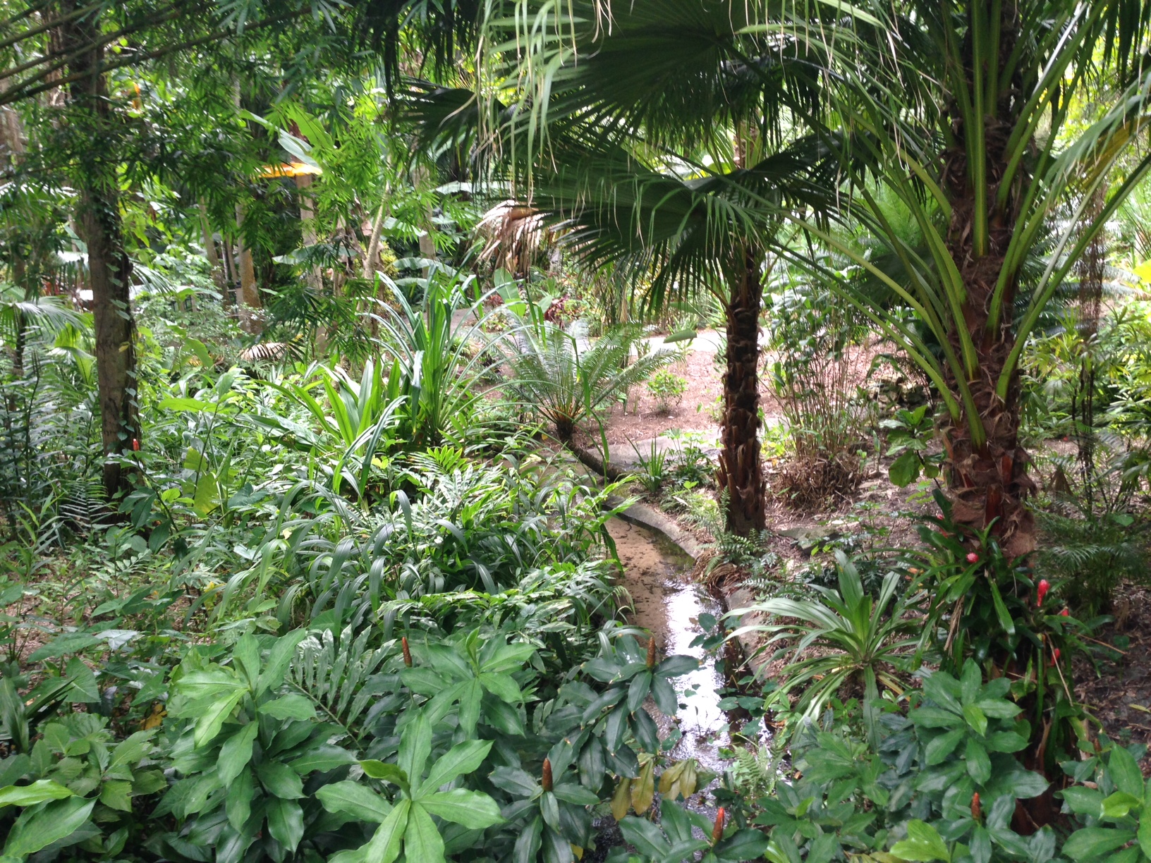 Tropical-Stream-Garden-2.jpg