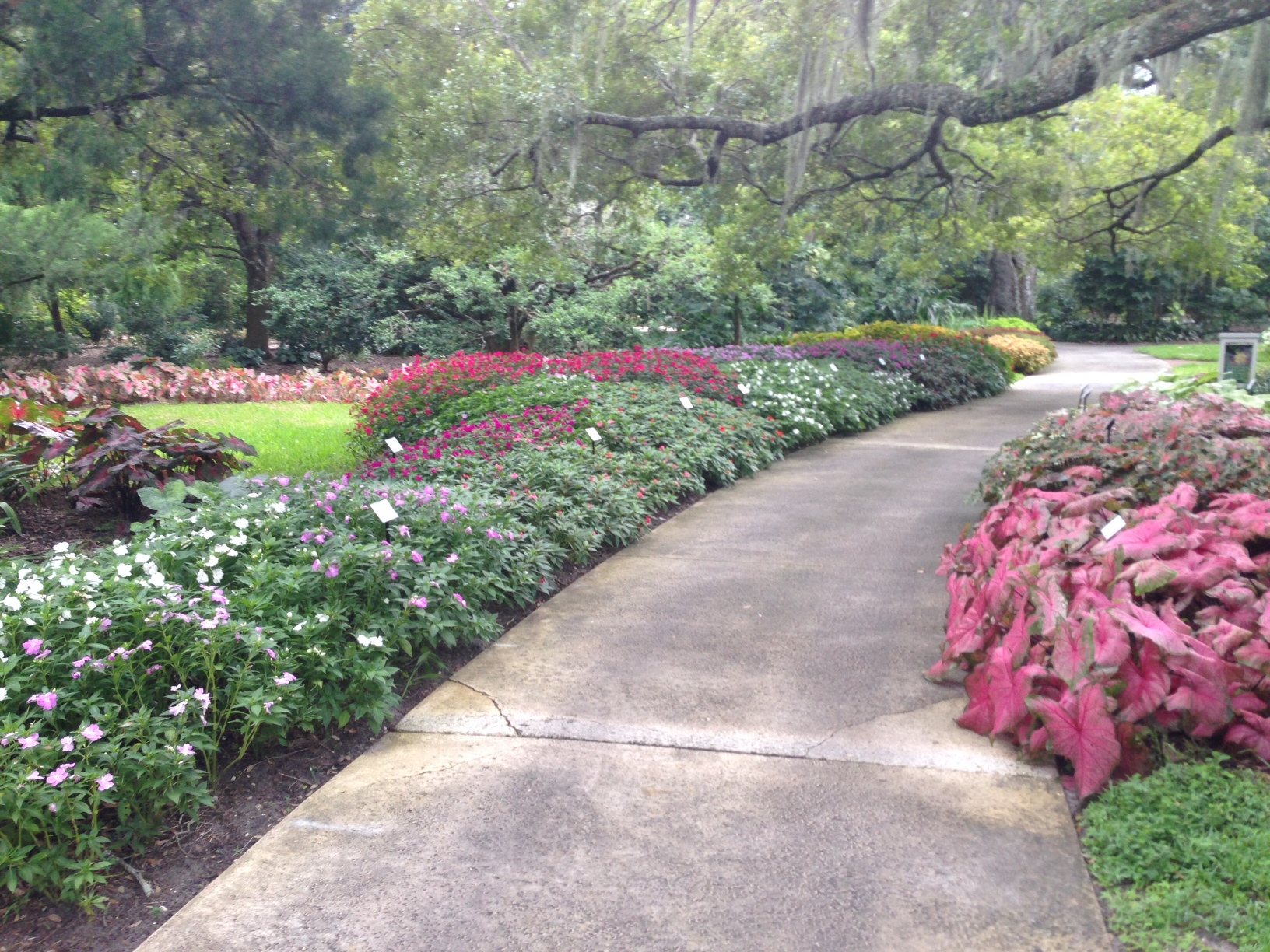 Beautiful-Strolling-Scenery.jpg