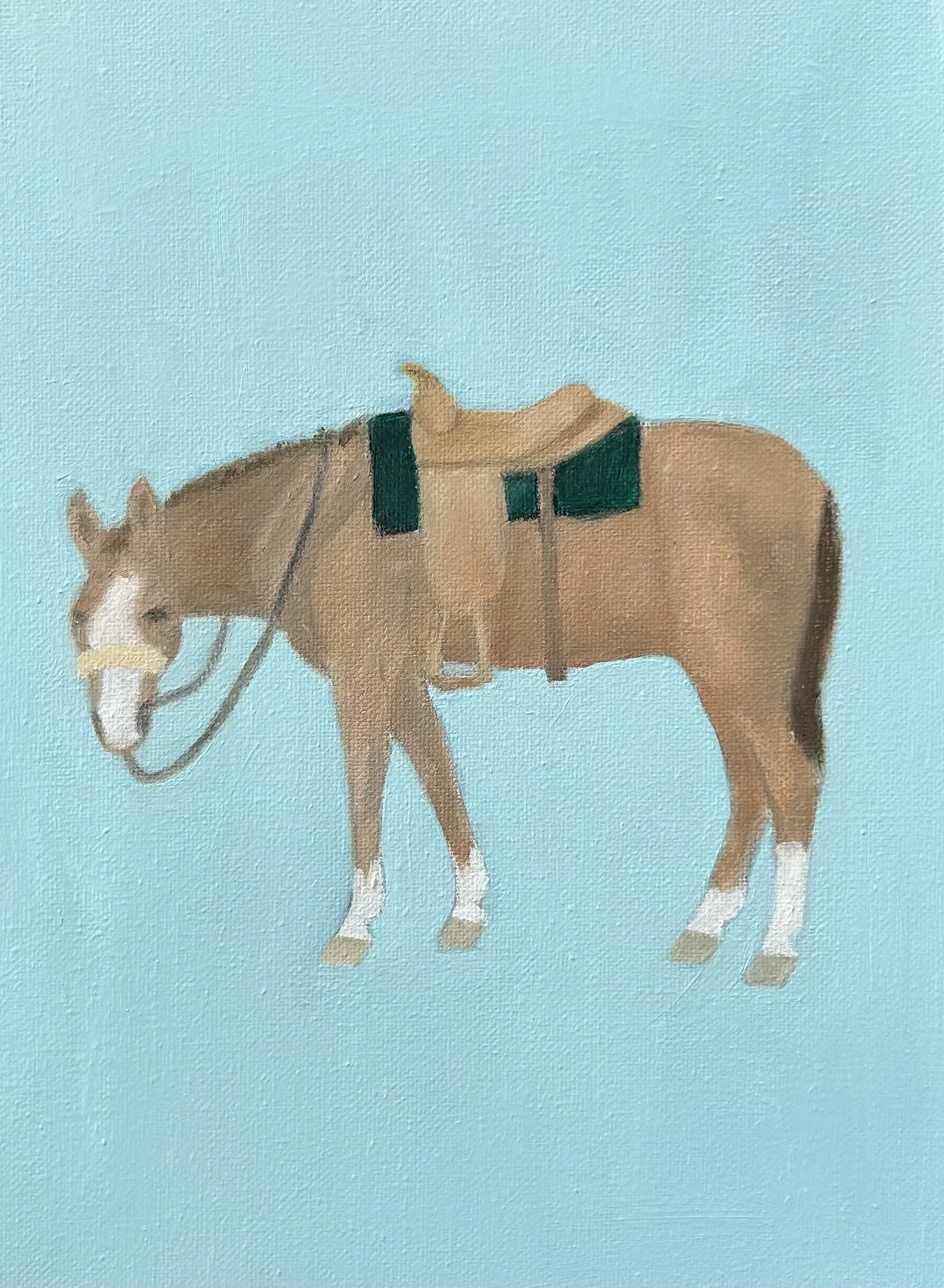 My First Horse