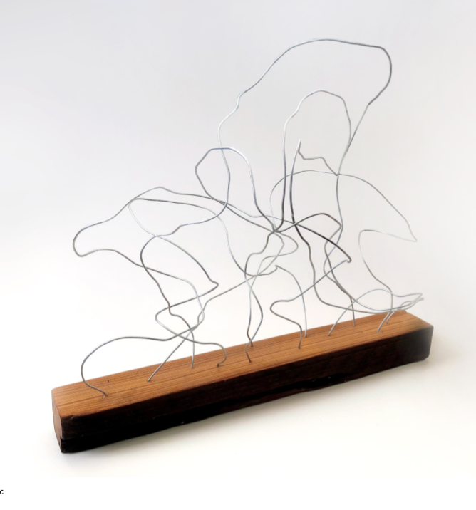 Wire and Antique Pine, 2017