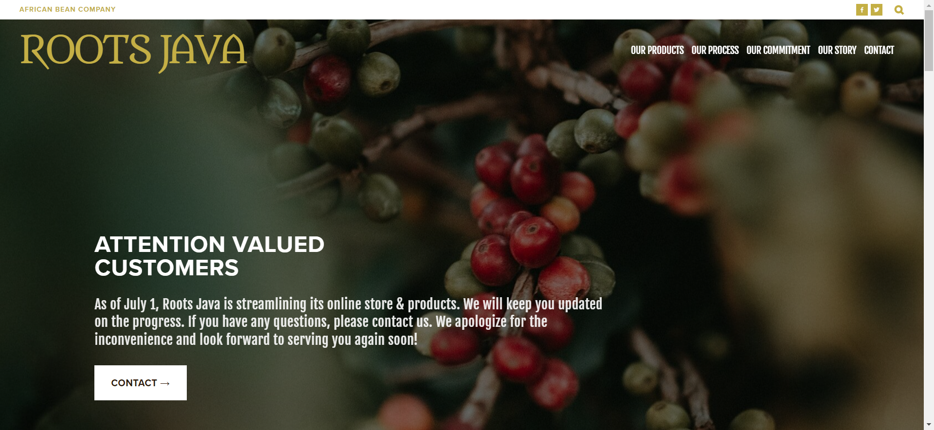 20231113 Roots Java - WEBSITE DESIGN (HOME PAGE) (1).png