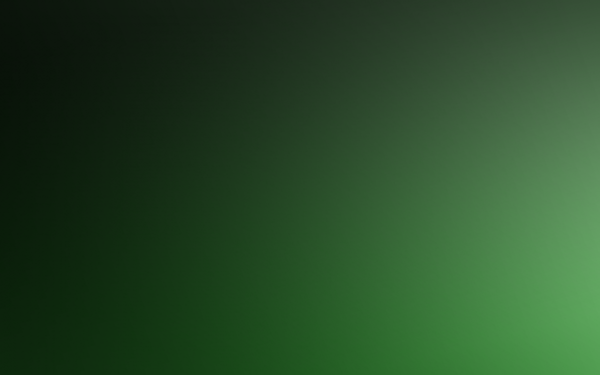 GREENWOOD ART PROJECT