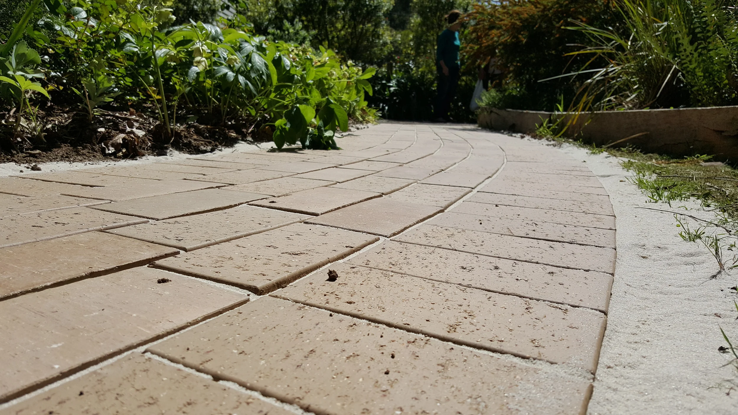 Belgrave todoodeedoo