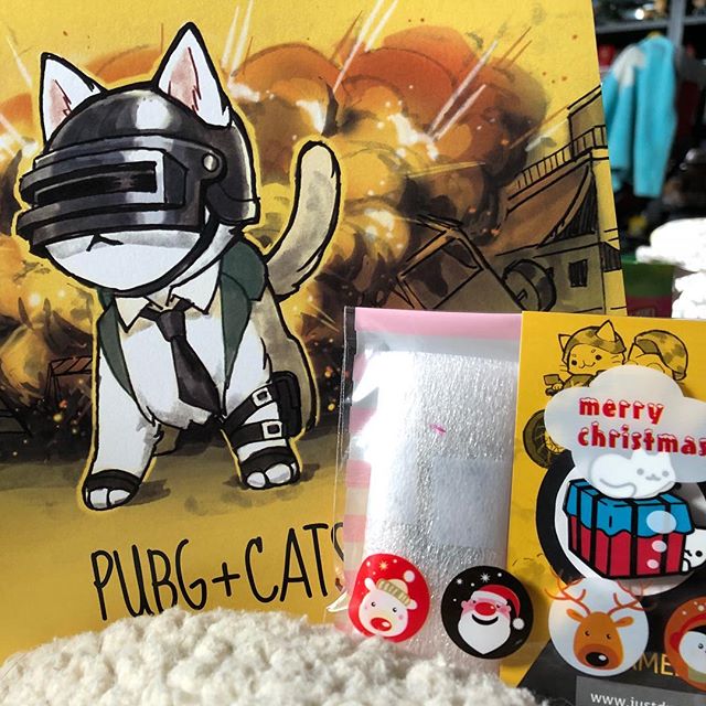Looks like @cgbsrule has a strong love for cats and #pubg @duetlol did a great job on this art book.