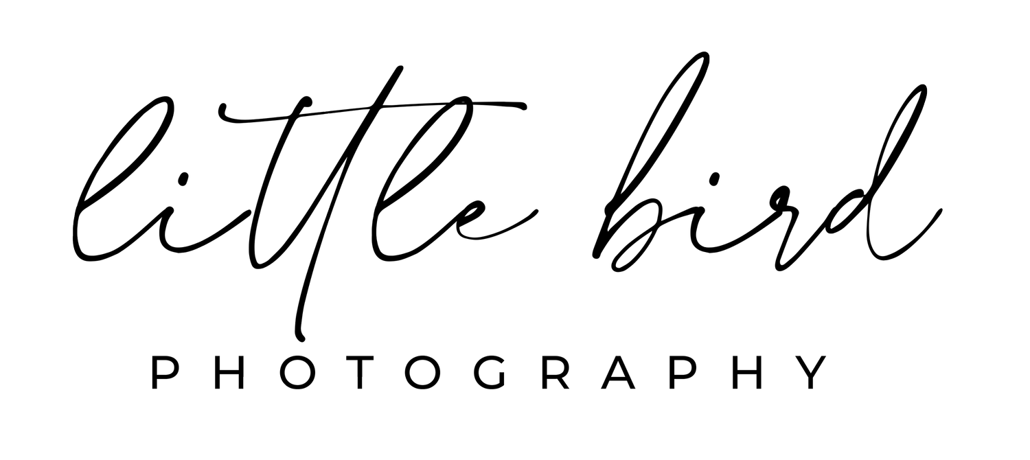 Little Bird Photography