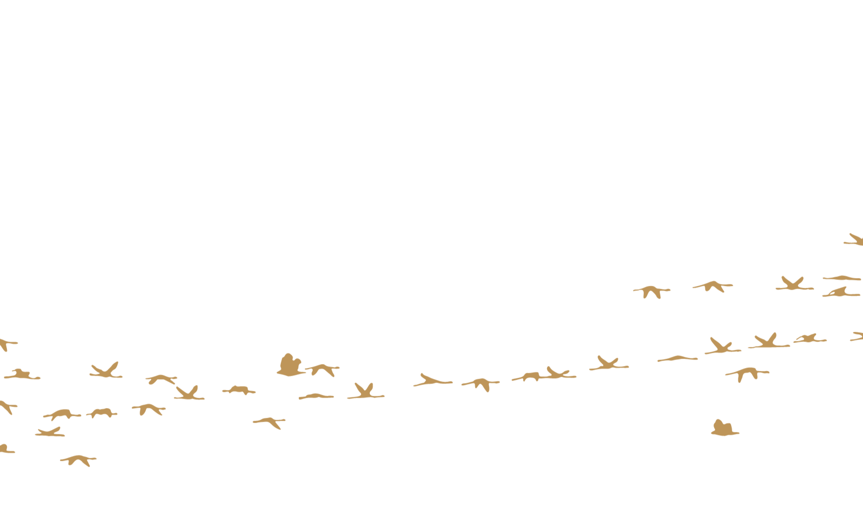 Untitled design (10).png