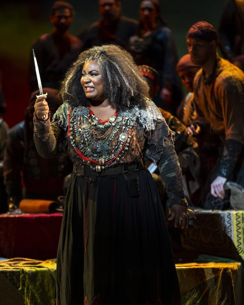 Review - DC Theater Arts: "Washington National Opera stages a solid ‘Il trovatore’ with stellar design"
