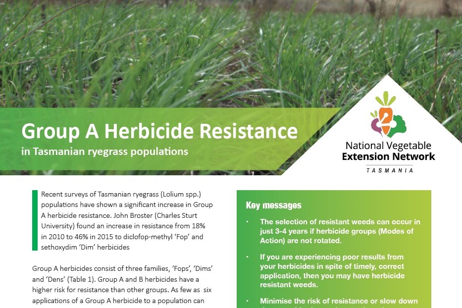 Group A Herbicide Resistance