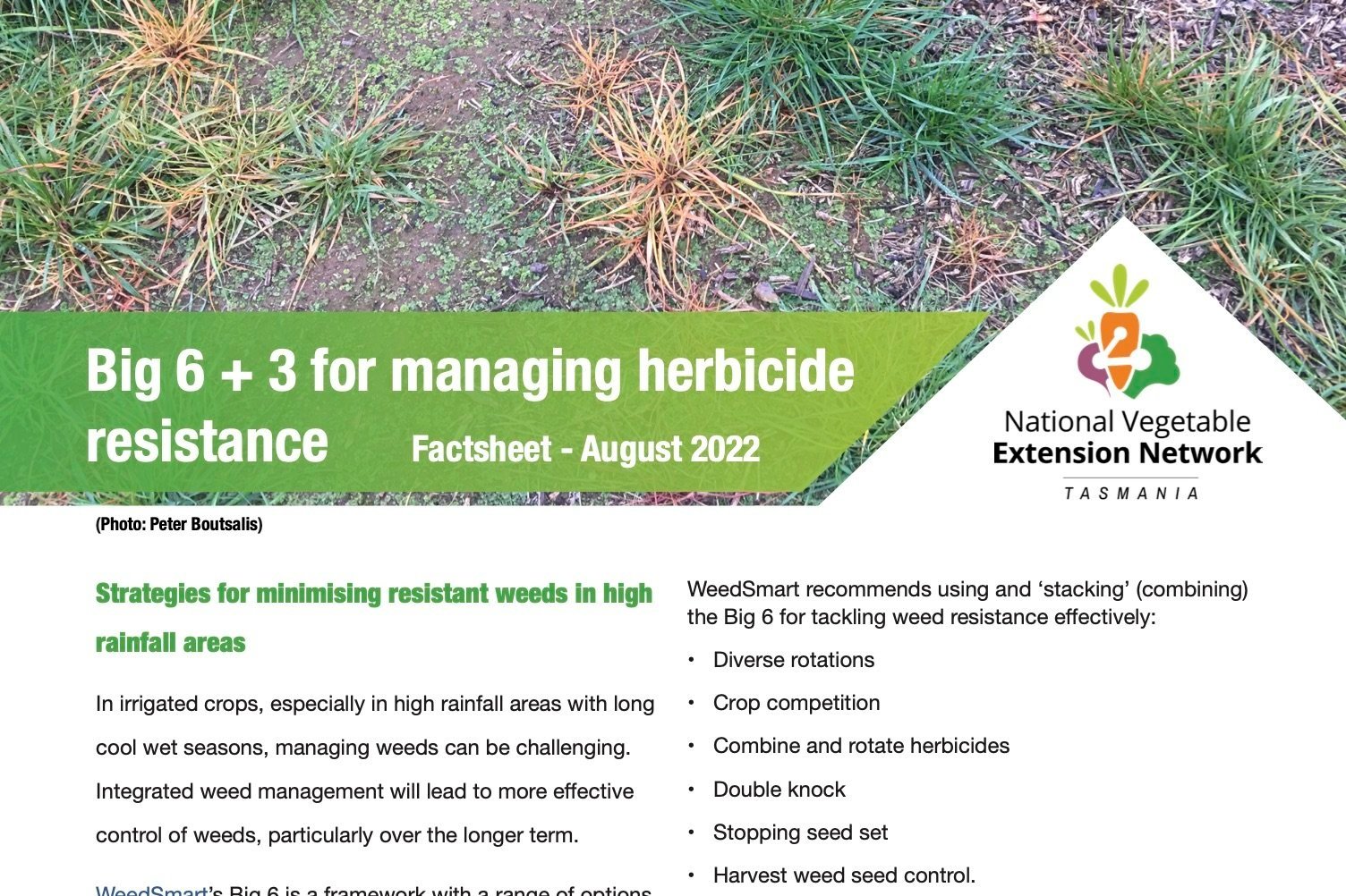 Big 6 + 3 for managing herbicide resistance
