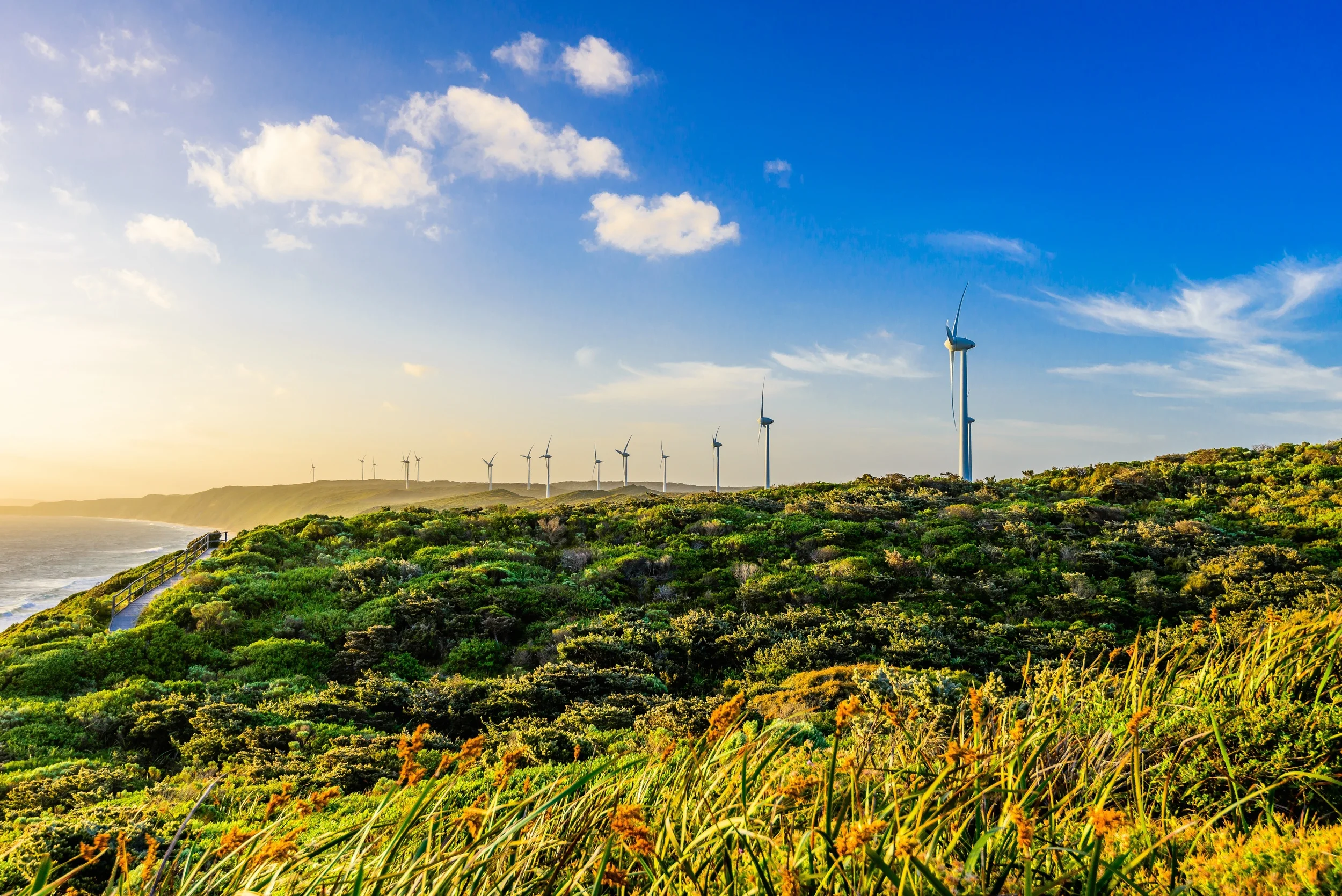 Albany Wind Farm(1) copy.jpg