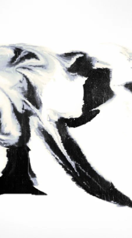 thumbnail.jpg