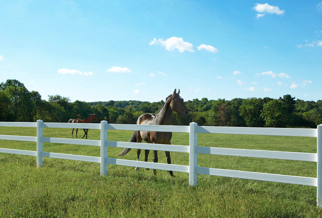 White Rail Fence