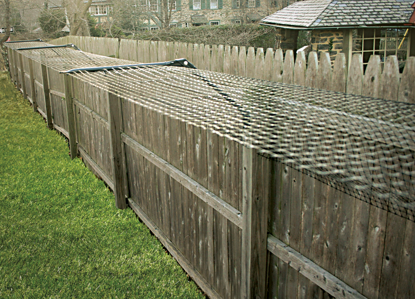 Cat Fencing